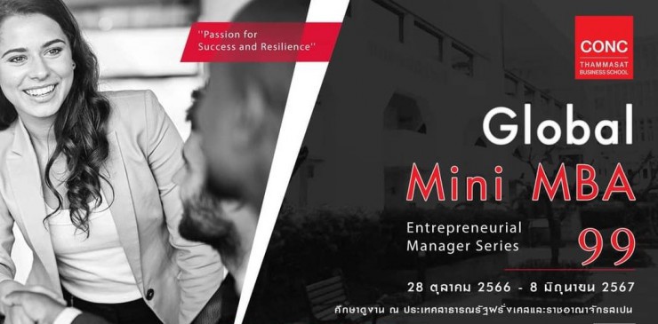 Global Mini MBA : (Entrepreneurial Manager Series)